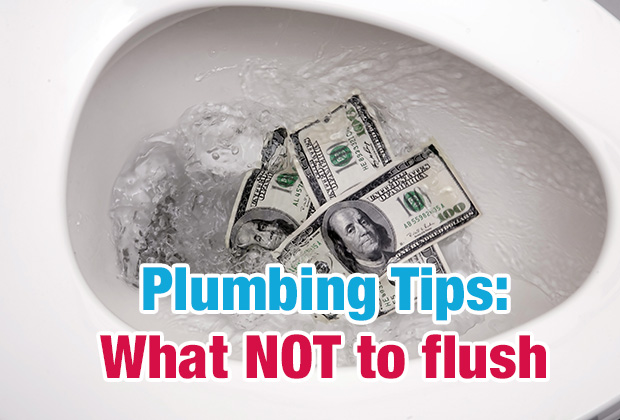 Plumbing Tips: What NOT to flush - A#1 Air, Inc.