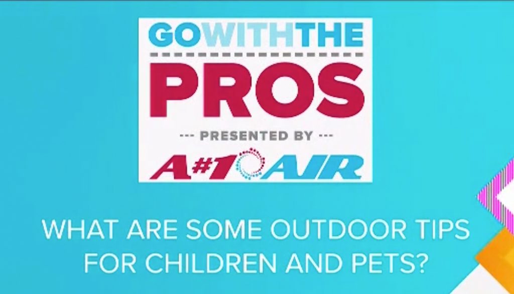 outdoor electrical safety tips for children and pets